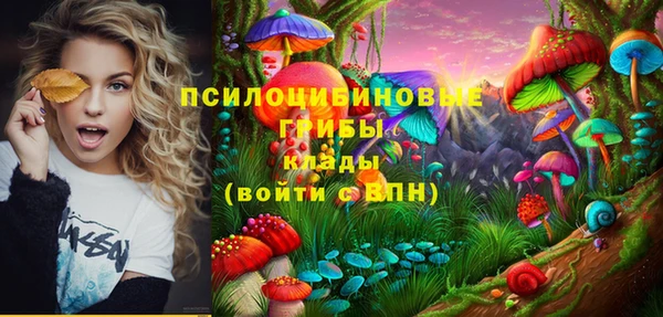 МДПВ Алексеевка