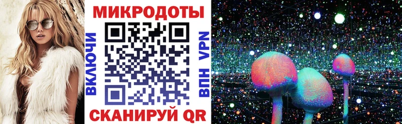 Псилоцибиновые грибы MAGIC MUSHROOMS наркотики Железногорск-Илимский
